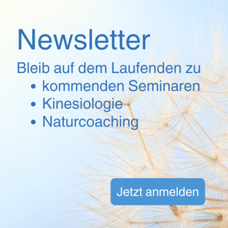 Anmeldung Newsletter Energy Balance